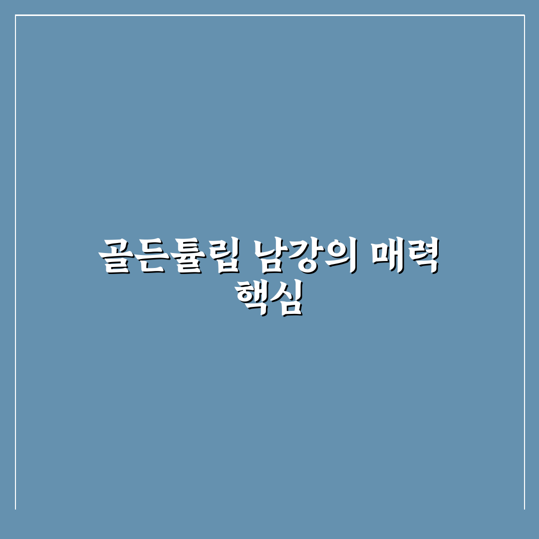 골든튤립 남강 숙박 꿀팁과 시설 정보 정리