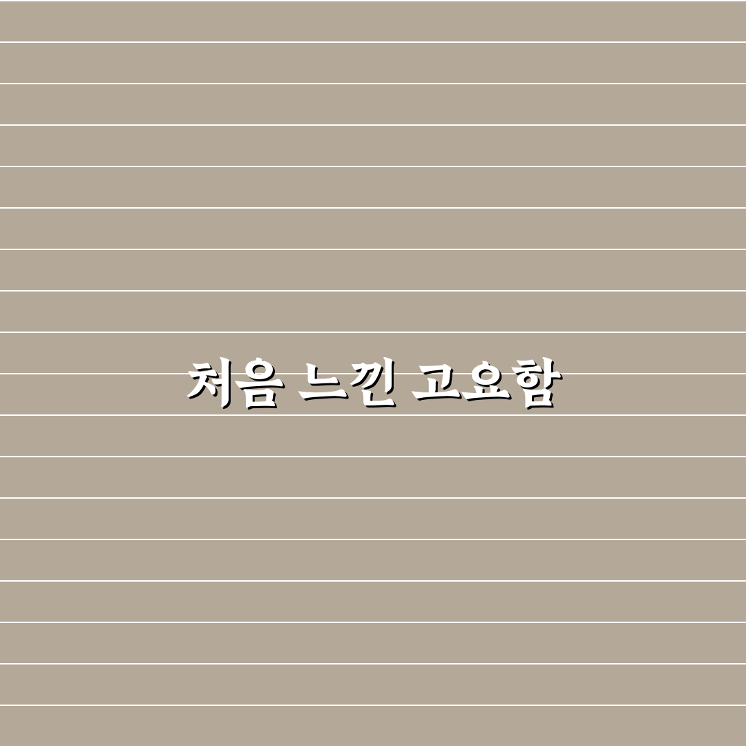 화상 면접 마이크 주변 소음 제거 설정 직접 써본 후기