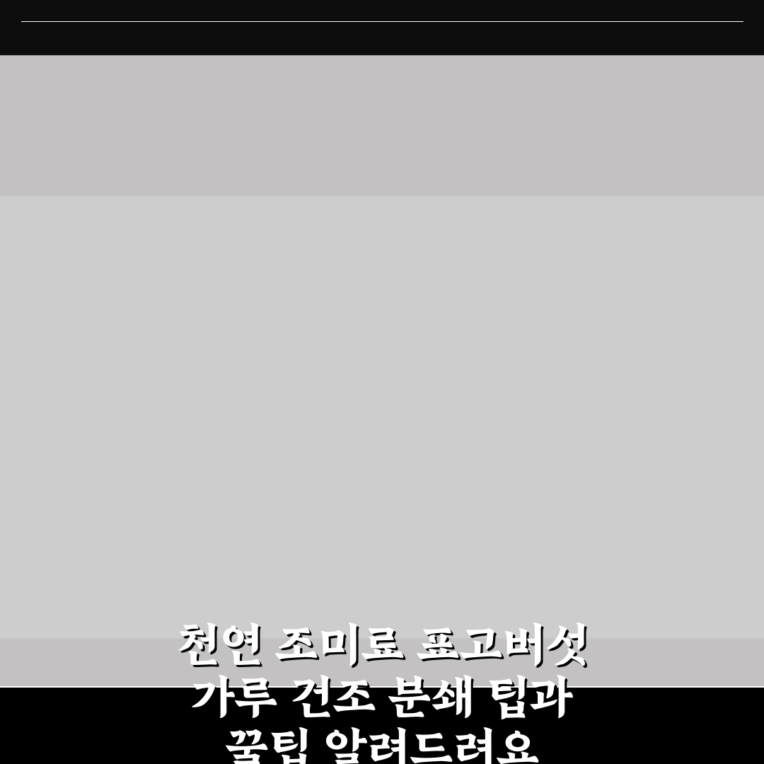 천연 조미료 표고버섯 가루 건조 분쇄 팁과 꿀팁 알려드려요