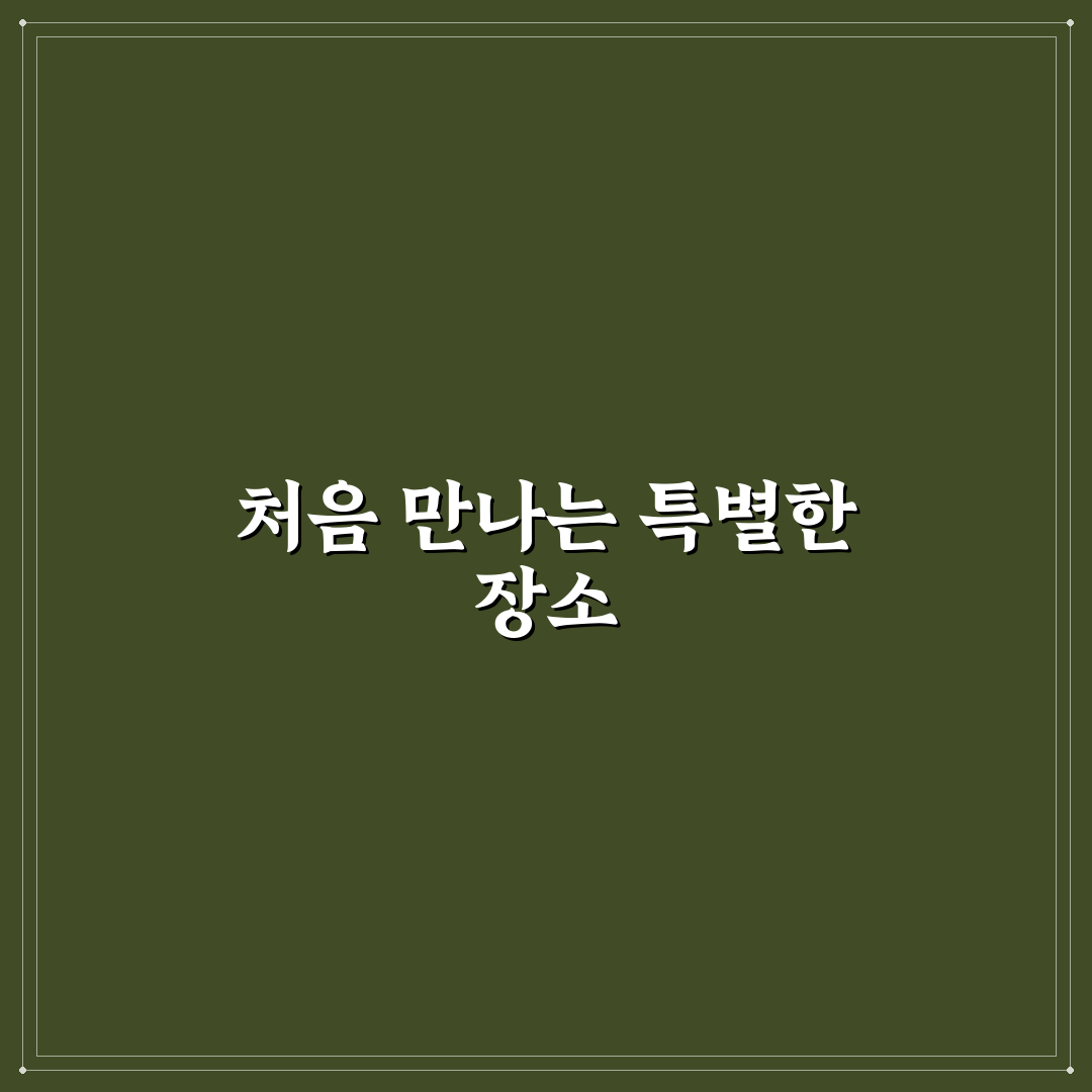 한국 광해 지도 활용 명당 찾기 직접 써본 후기