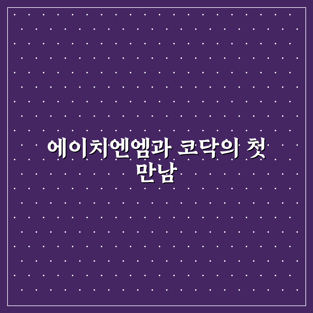 에이치엔엠 코닥 사용 후기, 실제 촬영 경험담