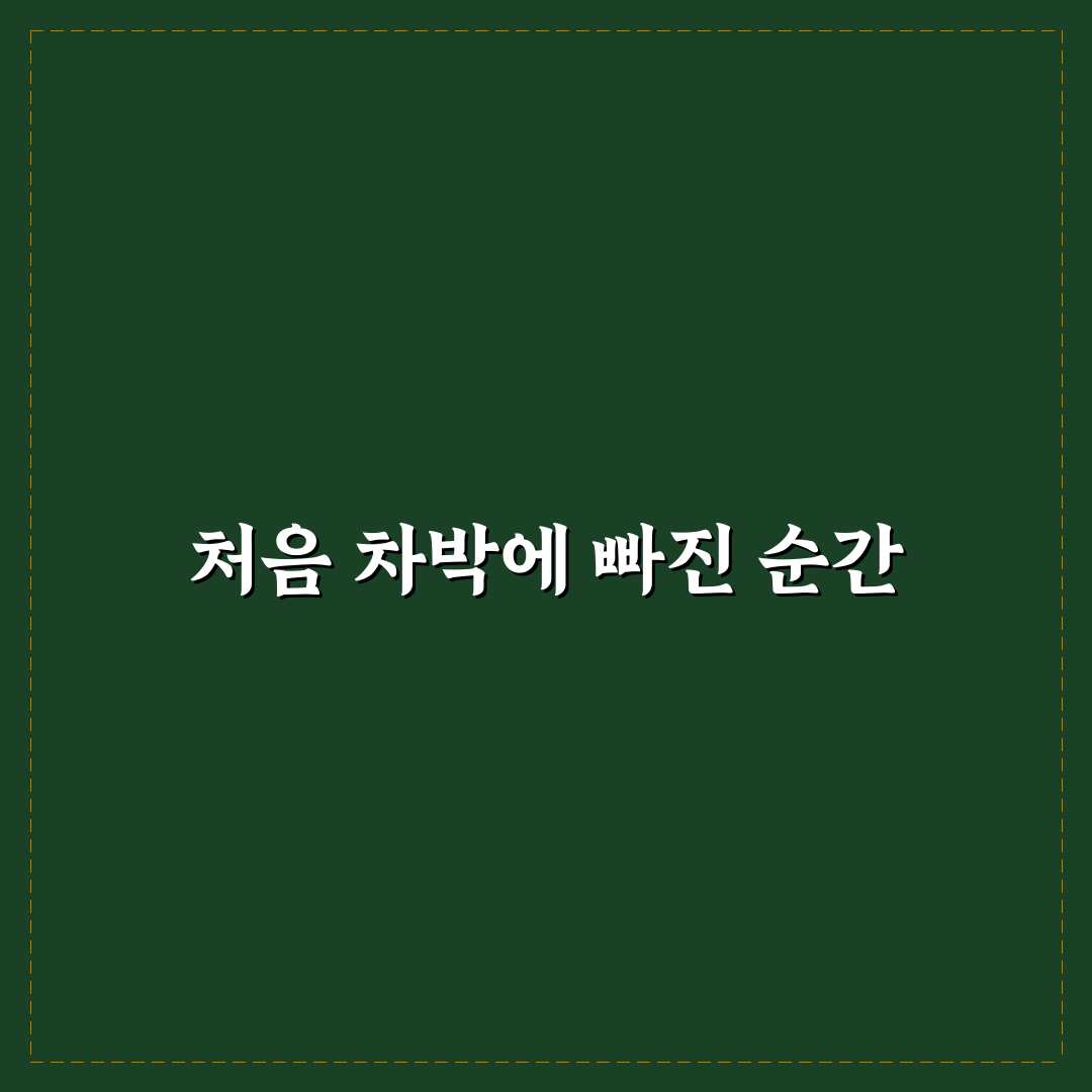 차박 캠핑 무료 성지에서 직접 써본 후기와 팁