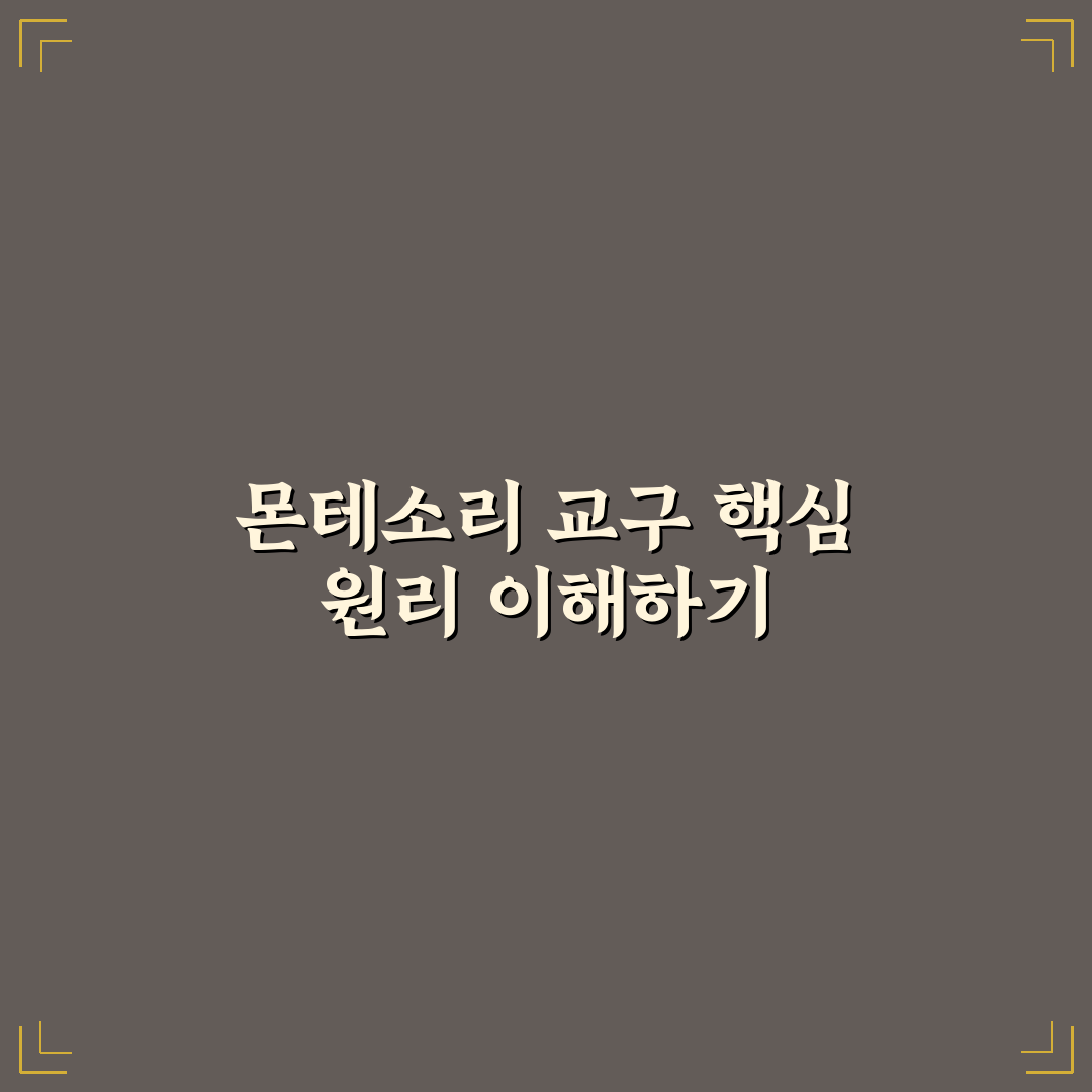 몬테소리 교구 홈스쿨링 활용법 5가지 기준 분석