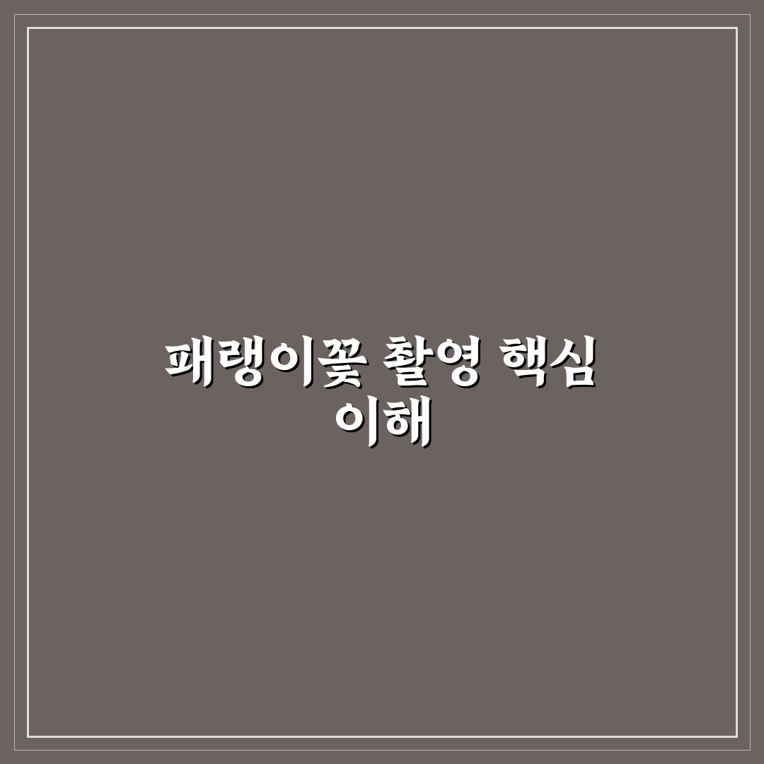 패랭이꽃 포토 촬영 꿀팁과 쉽게 따라하는 방법 공유