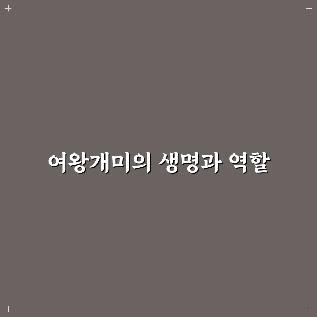여왕개미 수명과 특징 쉽게 알려드려요