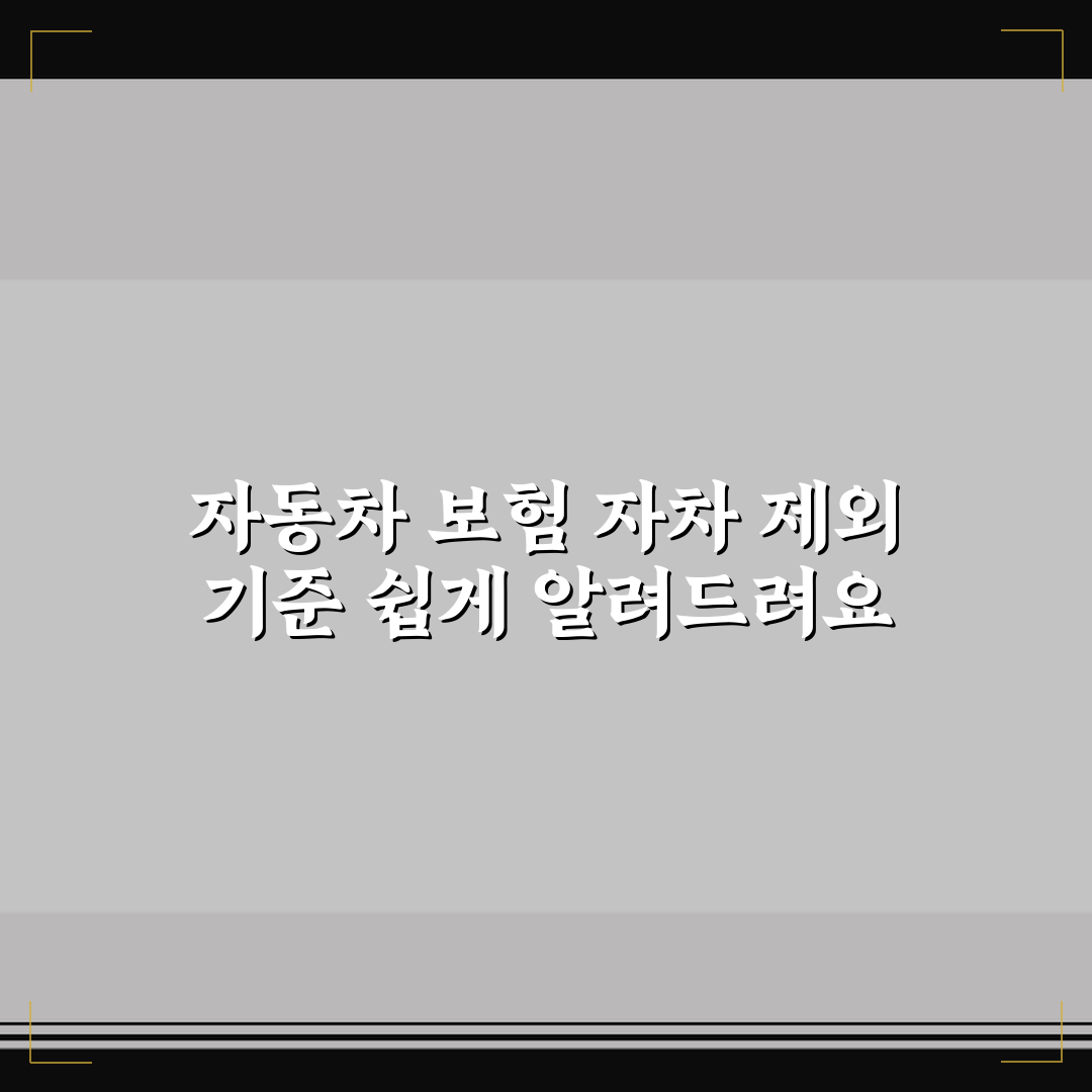 자동차 보험 자차 제외 기준 쉽게 알려드려요