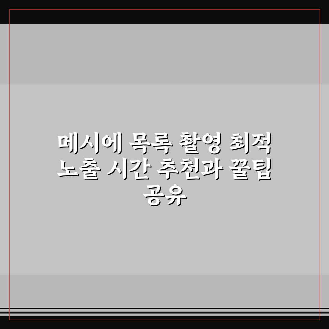 메시에 목록 촬영 최적 노출 시간 추천과 꿀팁 공유