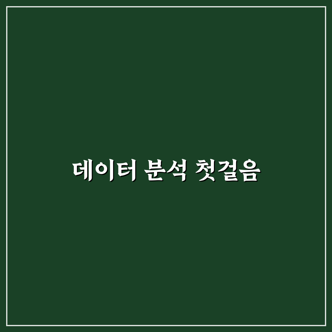 비전공자 데이터 분석가 포트폴리오 전략 직접 써본 후기