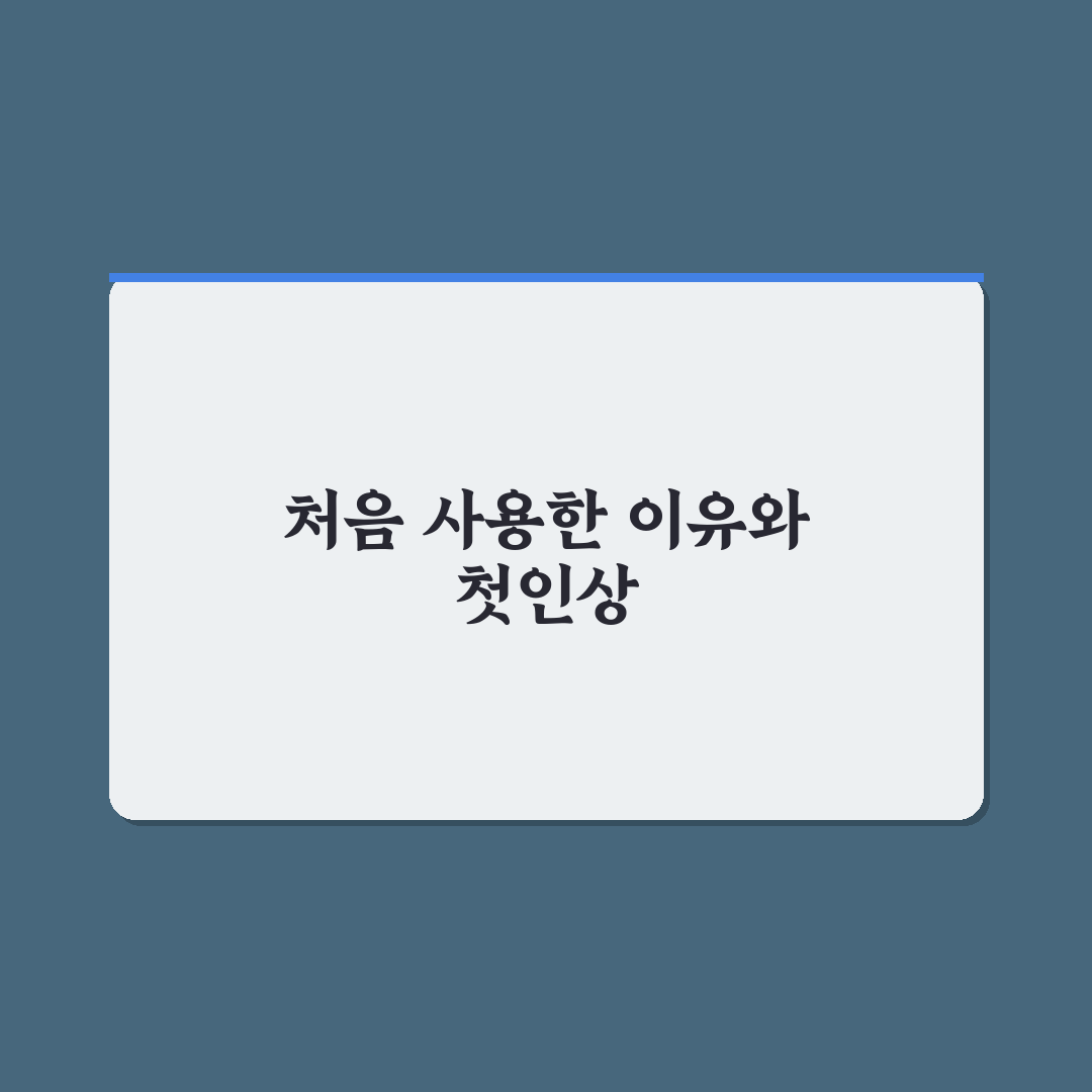 렌터카 국제 면허증 온라인 발급 방법 직접 써본 후기
