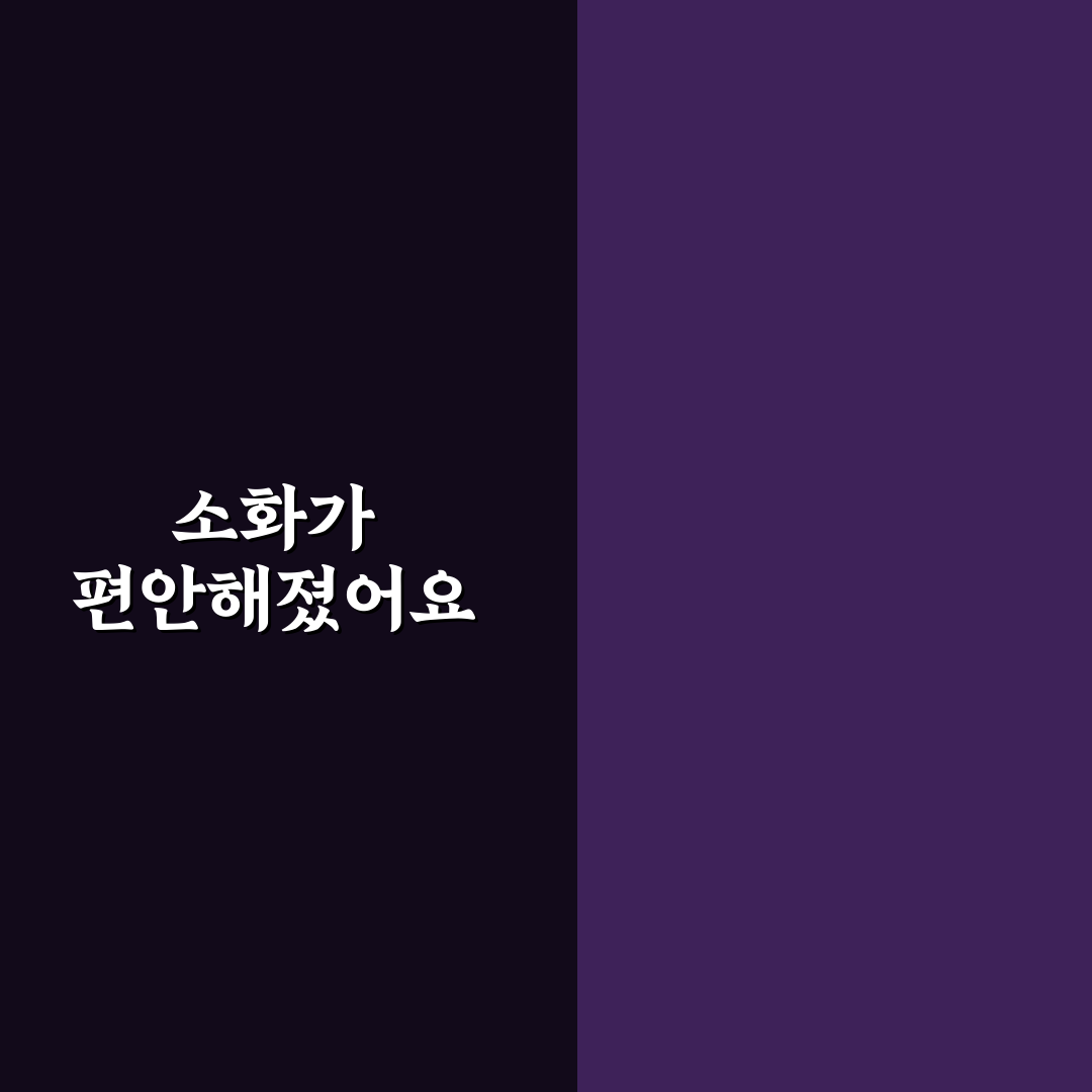 소화 효소 영양제 복용 시기와 효과에 대한 리얼후기