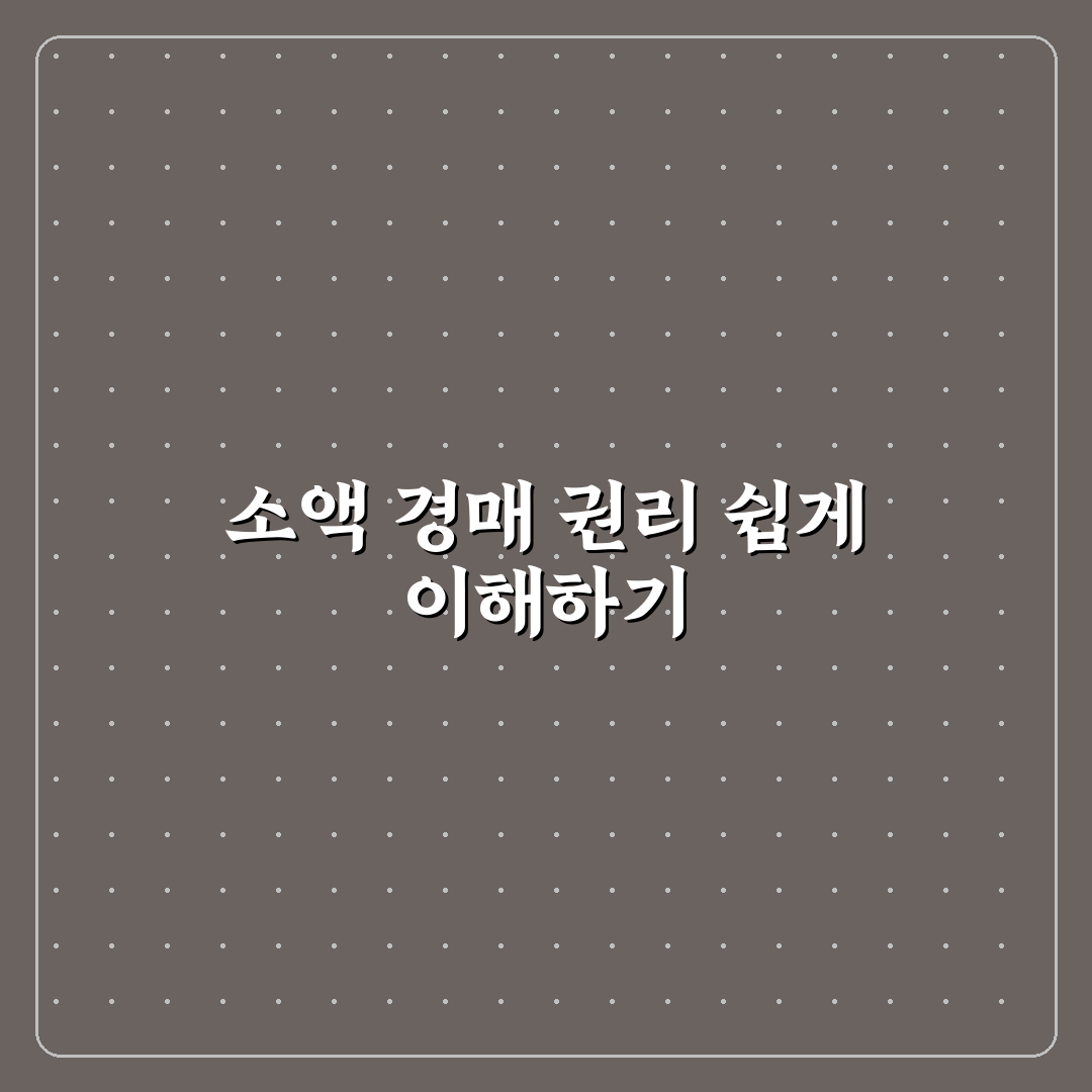 소액 부동산 경매 권리 분석 기초 직접 써본 후기