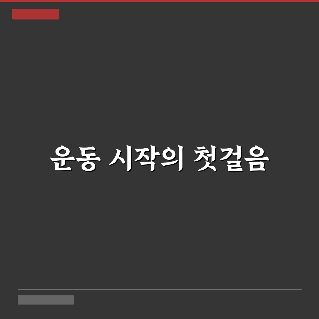 홈트레이닝 덤벨 무게 추천 직접 써본 후기와 선택 가이드