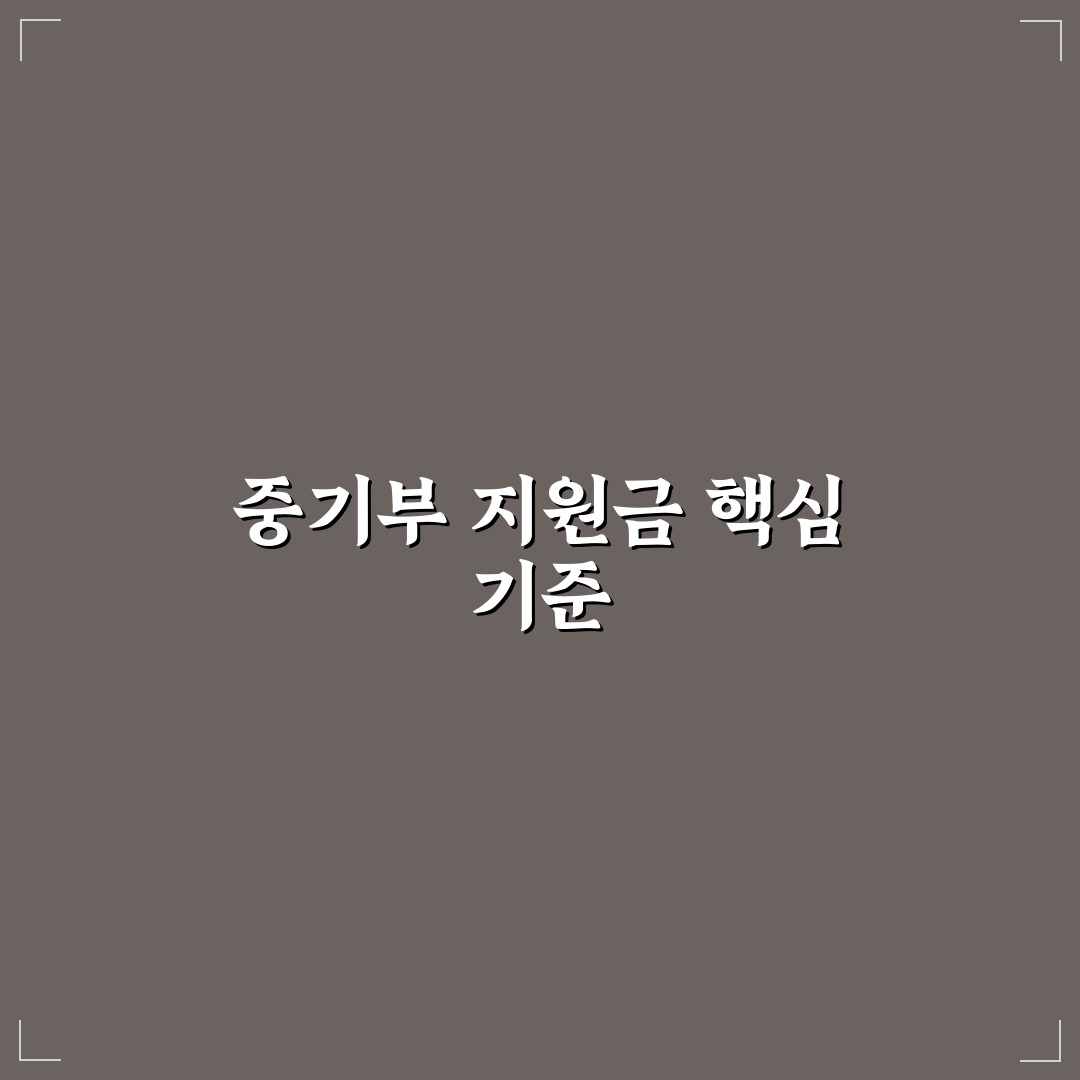 중기부 정부 지원금 종류별 비교 및 활용 체크포인트