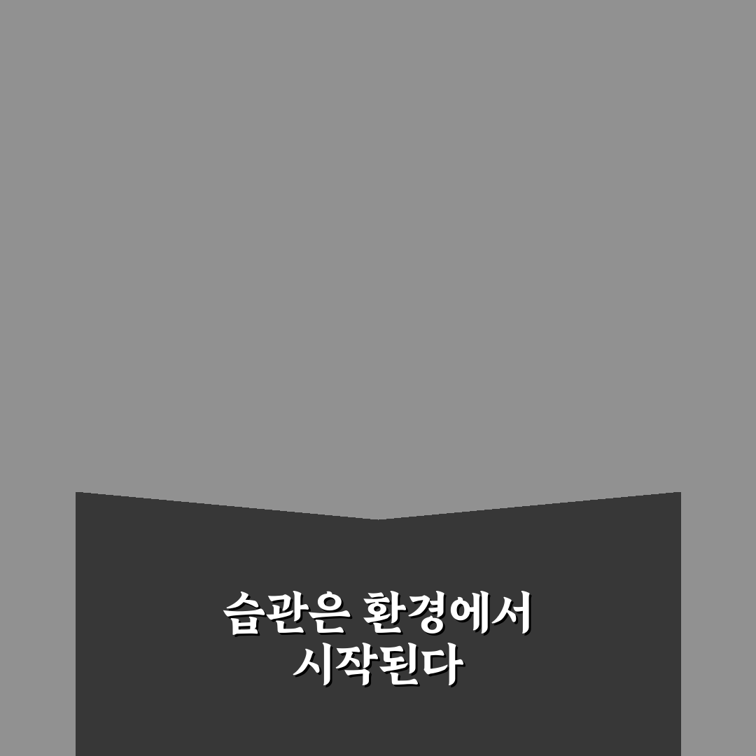 습관 고착화를 위한 환경 설계 5가지 비교와 판단 기준