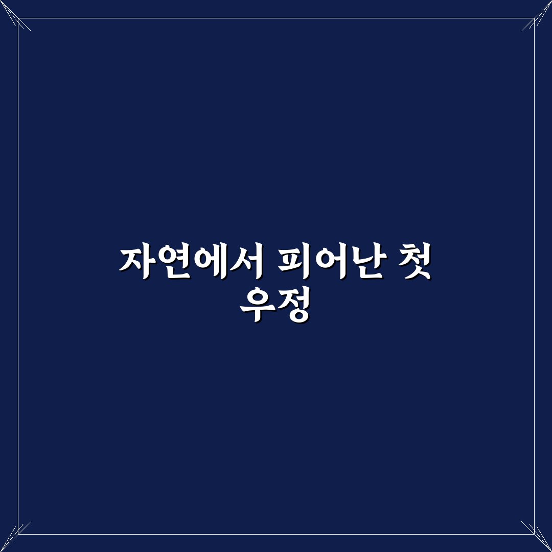 대둔산 우정길 방문 후기, 산행 코스와 풍경 솔직히 말해봅니다