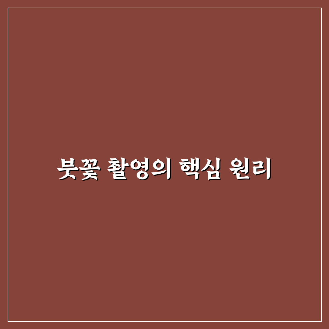 붓꽃 포토 촬영 팁과 아름다운 사진 공유하기