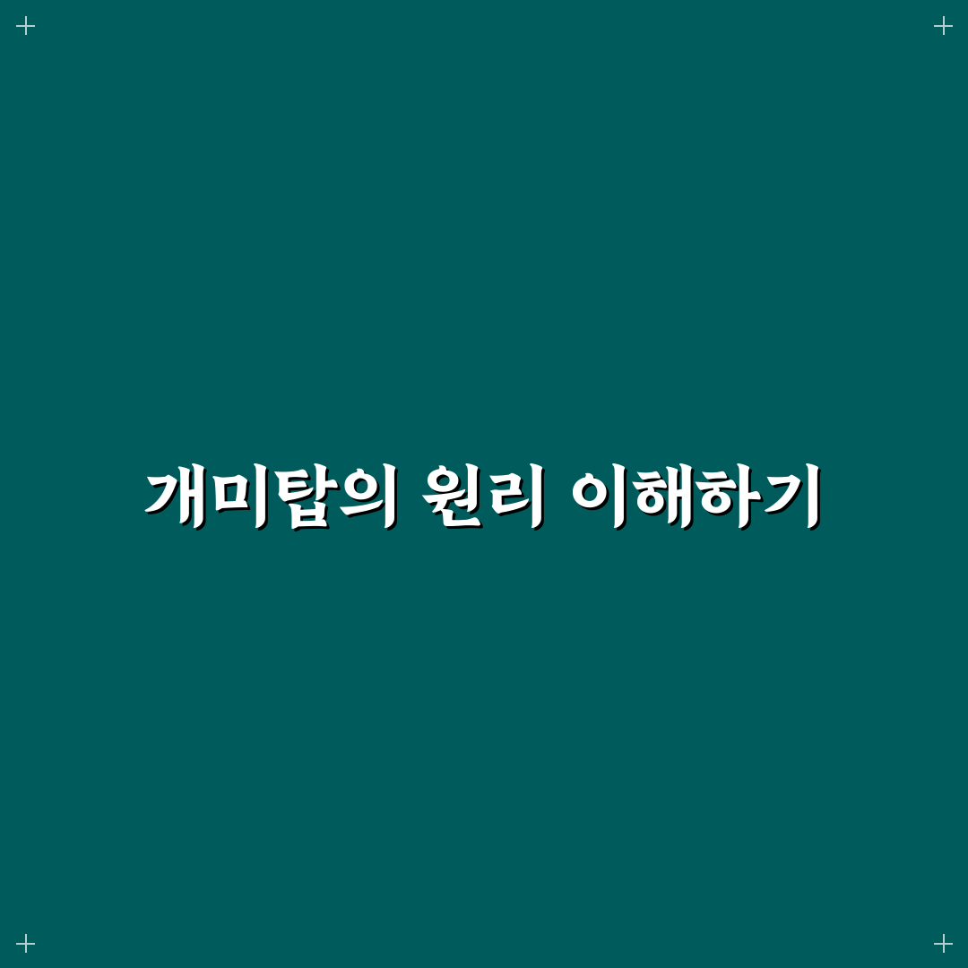 개미탑 만들기 방법과 관리 꿀팁 정리