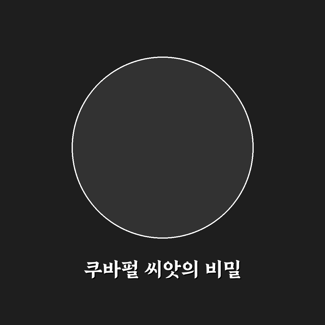 쿠바펄 씨앗 키우기 꿀팁과 관리 방법 정리