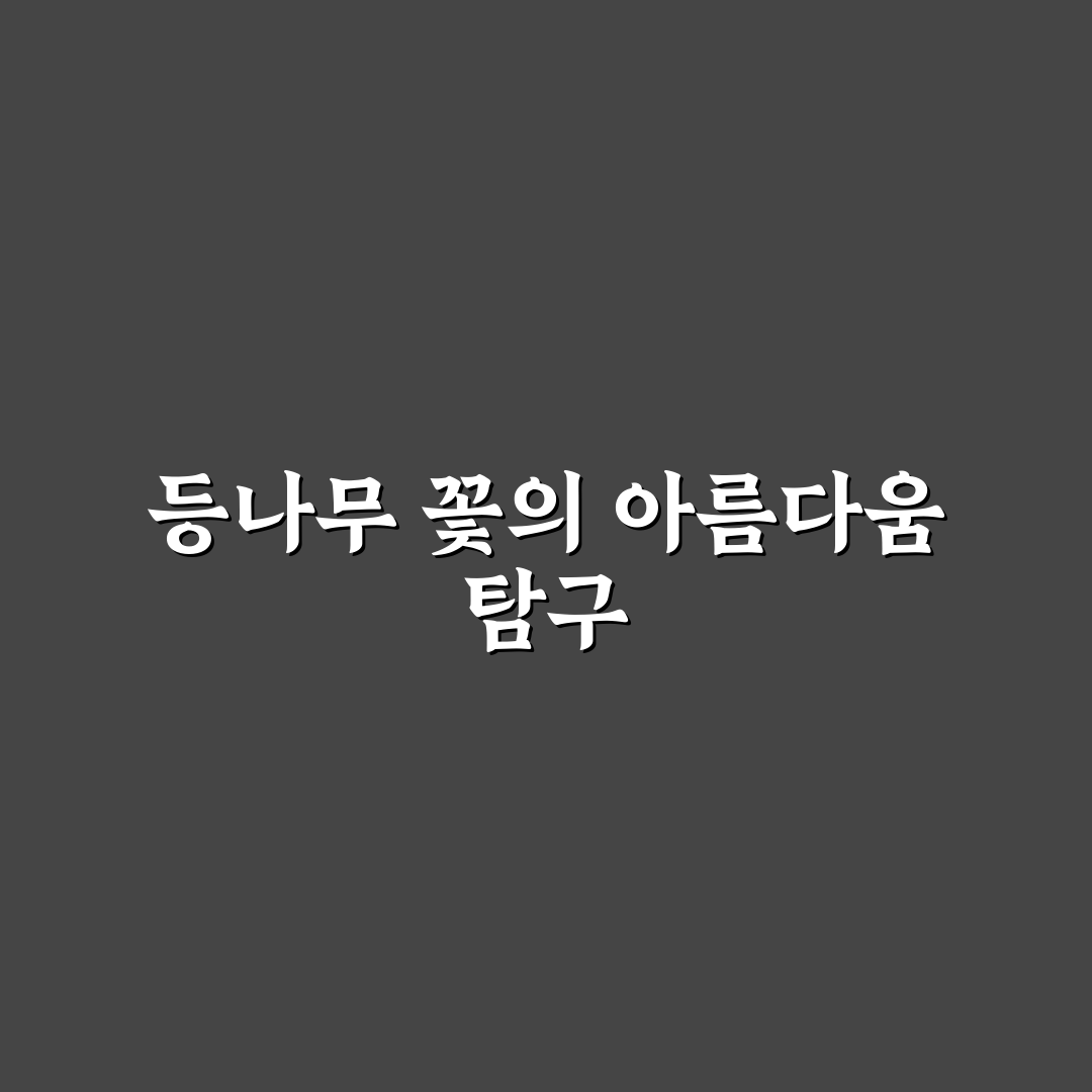 밀양 등나무 꽃 개화 시기와 관리 꿀팁 알려드려요