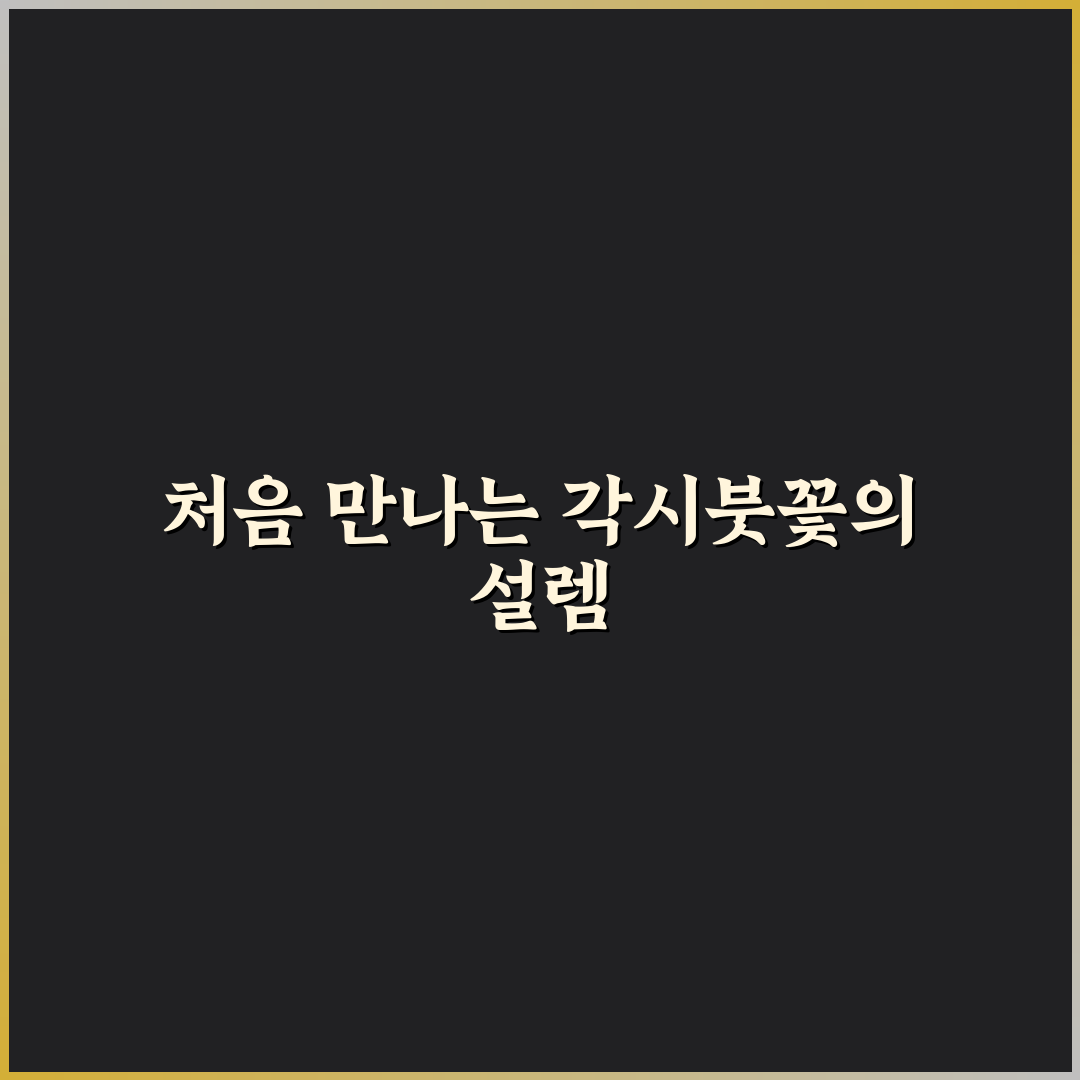 각시붓꽃 가격 직접 알아보니 예상보다 다양하네요