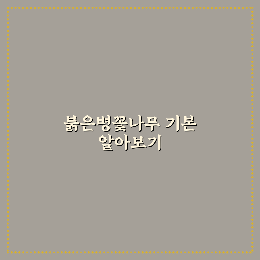 붉은병꽃나무 키우기 꿀팁과 관리 방법 정리