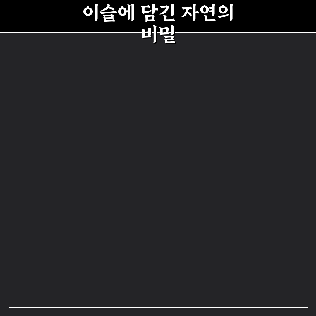 저 장미꽃 위에 이슬 생기는 이유와 관리 팁 알려드려요