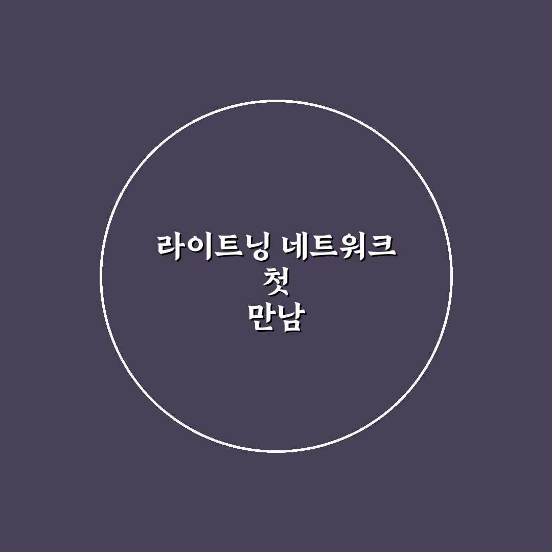 비트코인 라이트닝 네트워크 사용법 직접 써본 후기