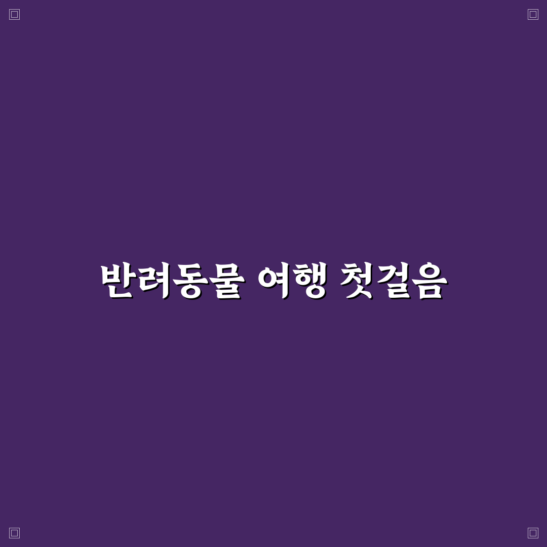 항공사 펫 케이지 규정 사이즈 직접 써본 후기