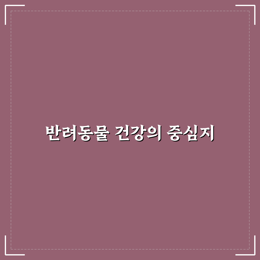 딜라이트 동물의료센터 방문 전 꿀팁과 후기 정리