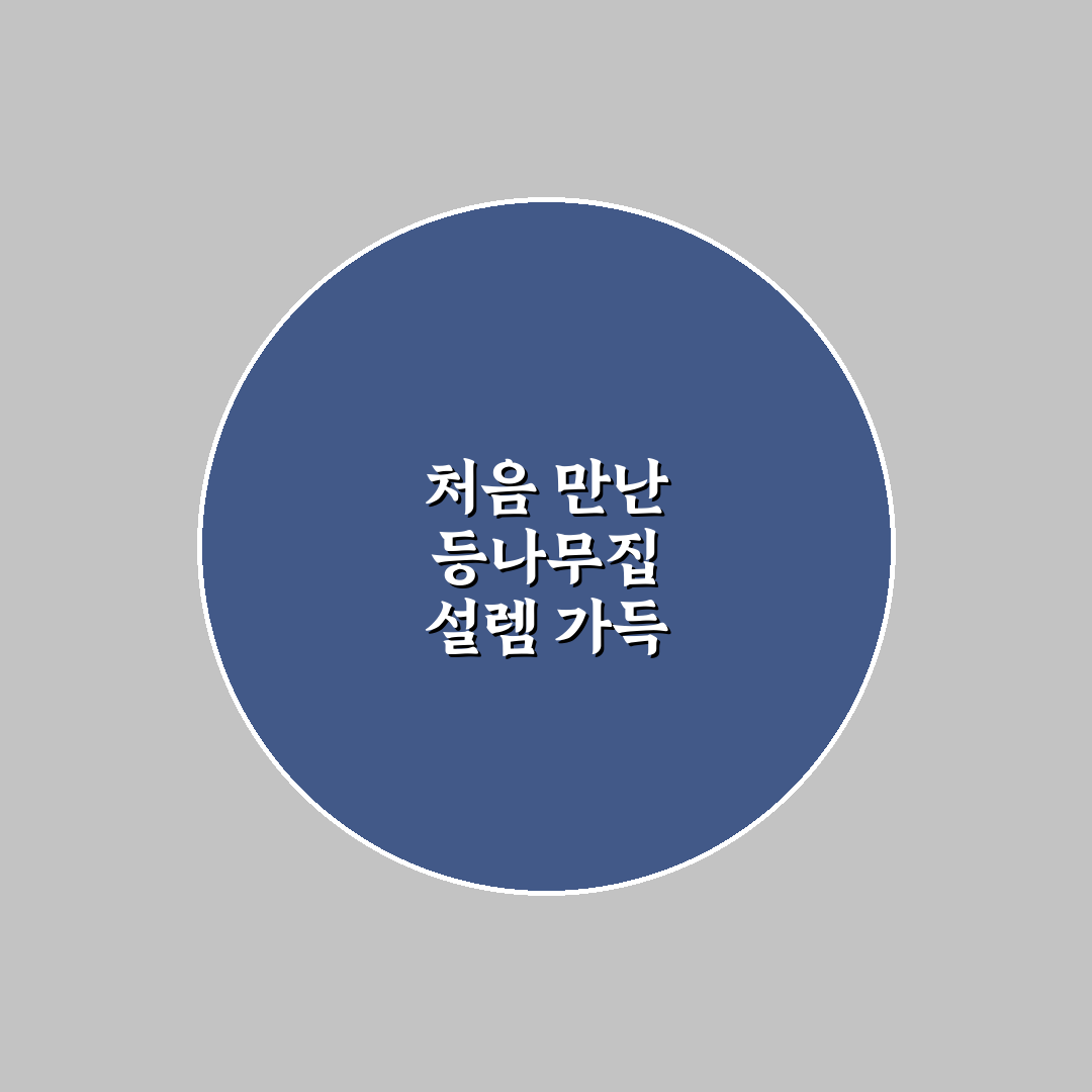 등나무집 방문 후기, 조용한 분위기 직접 느껴보니