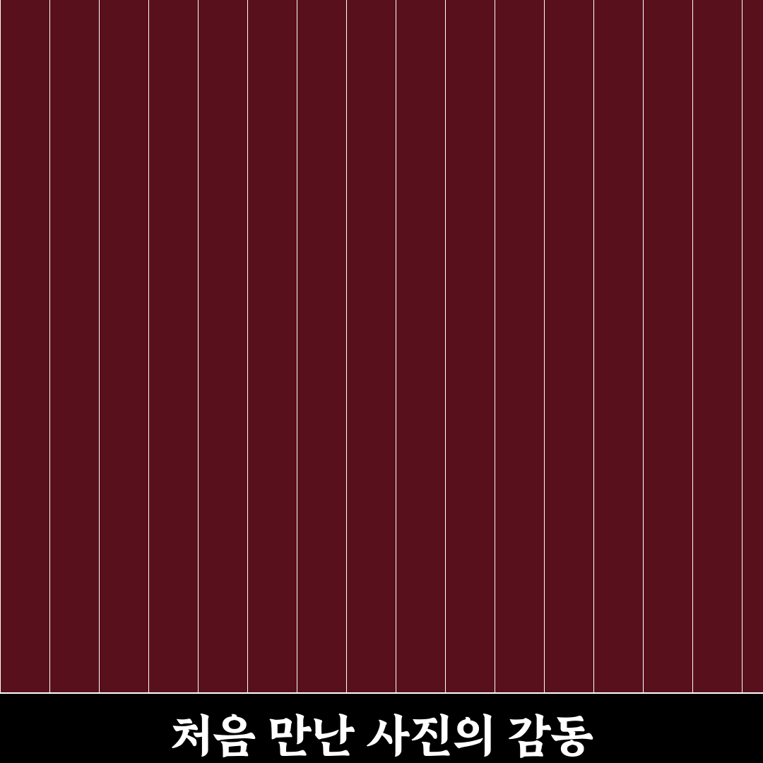 모란 사진관 방문 후기, 실제 촬영 경험담