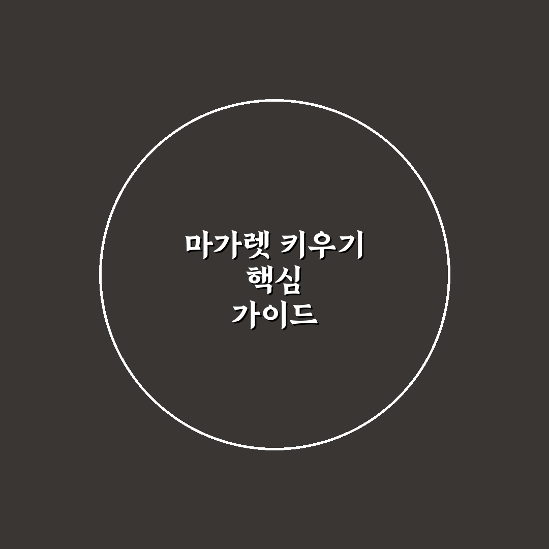 마가렛 꽃 키우기 5가지 기준별 성장 환경과 관리법 비교