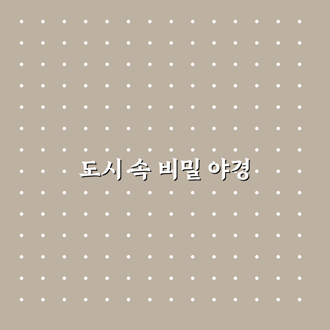 서울 숨은 명소 야경 포인트 직접 써본 후기와 추천 장소
