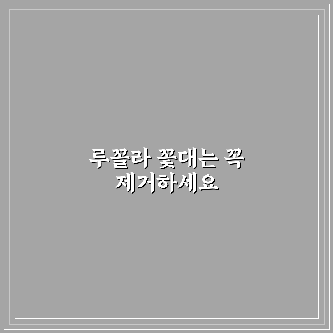 루꼴라 꽃대 제거방법과 쉽게 따라 하는 꿀팁 공유