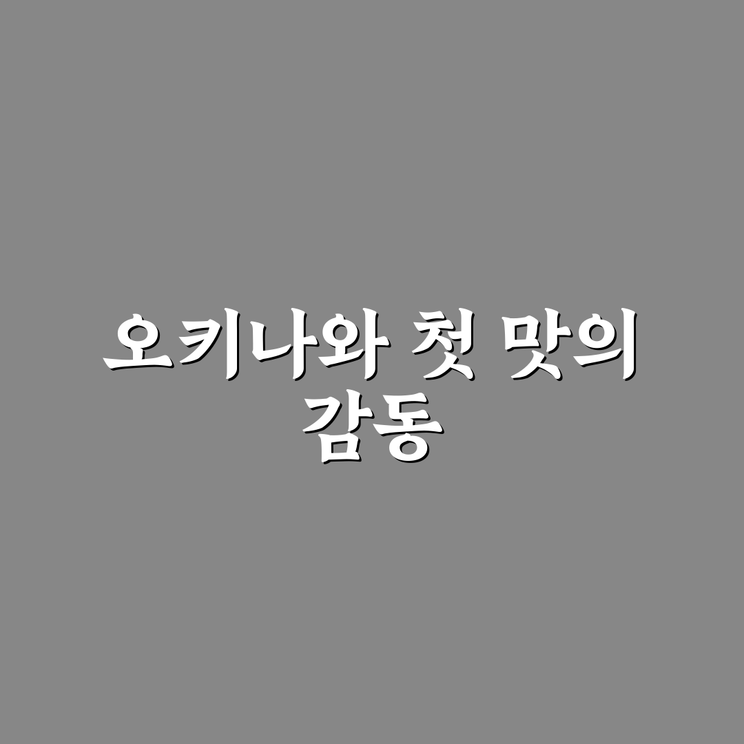 오키나와 칼디 방문 후기, 현지 감성 그대로 느껴봤어요