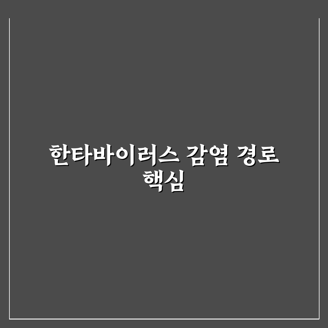 한타바이러스 감염 경로 5가지 기준별 분석과 체크포인트