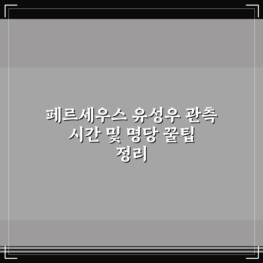 페르세우스 유성우 관측 시간 및 명당 꿀팁 정리