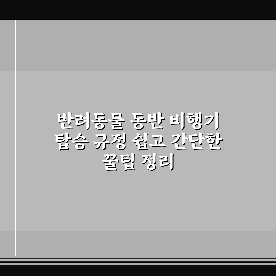 반려동물 동반 비행기 탑승 규정 쉽고 간단한 꿀팁 정리