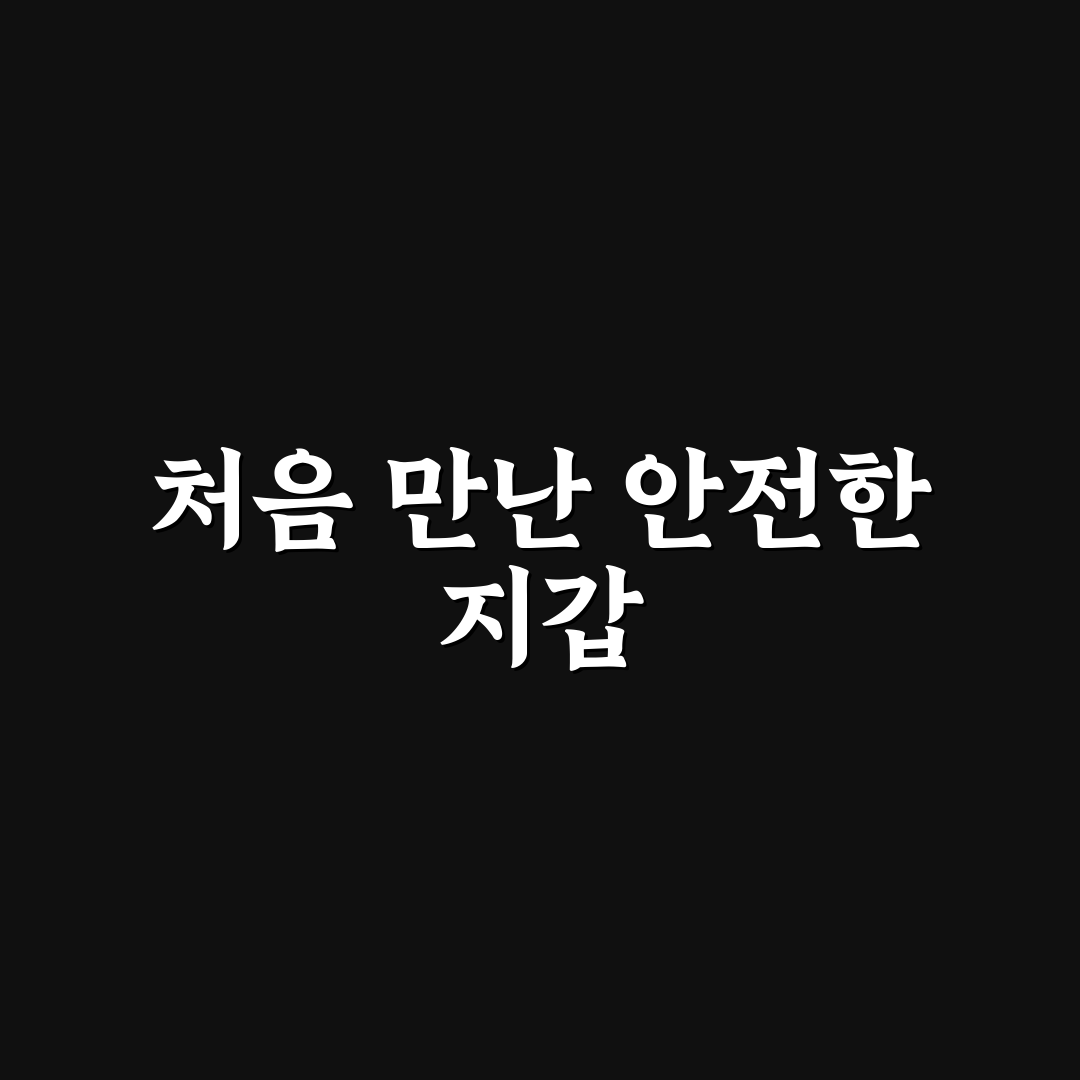 코인 하드월렛 나노S 나노X 차이점 직접 써본 후기