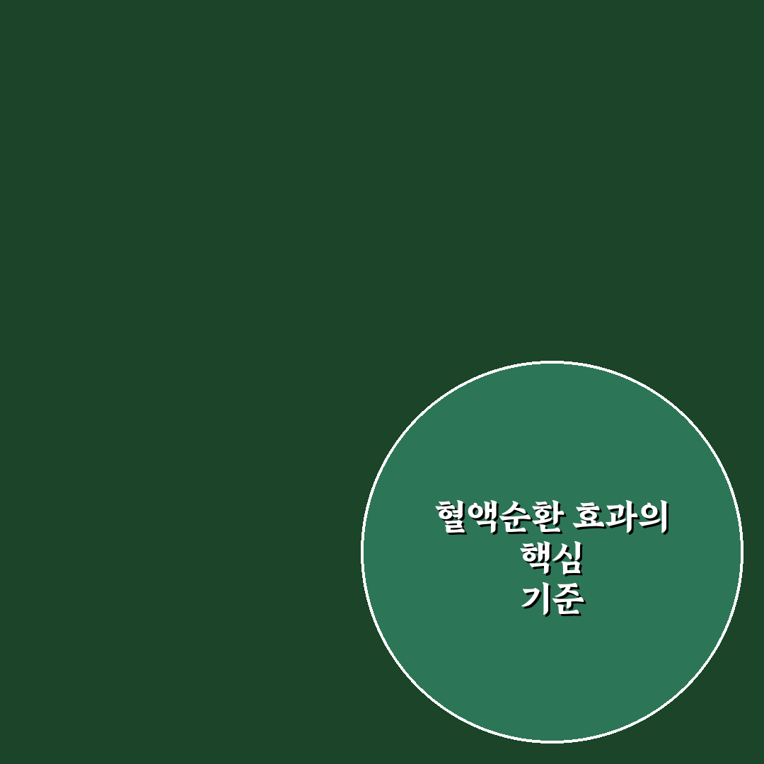 지압혈액순환방석 선택 가이드와 사용 시 체크포인트 5가지