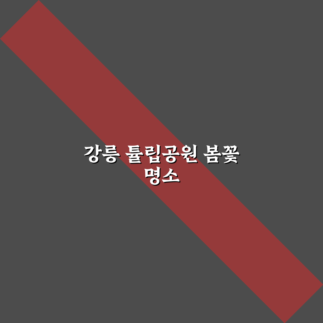 강릉 튤립공원 방문 꿀팁과 봄꽃 명소 정리