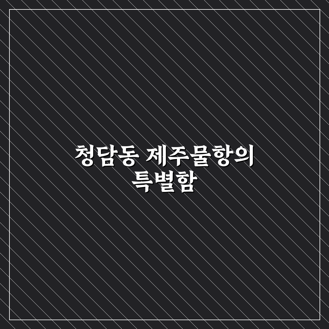 청담동 제주물항 방문 전 꿀팁과 이용 후기 공유