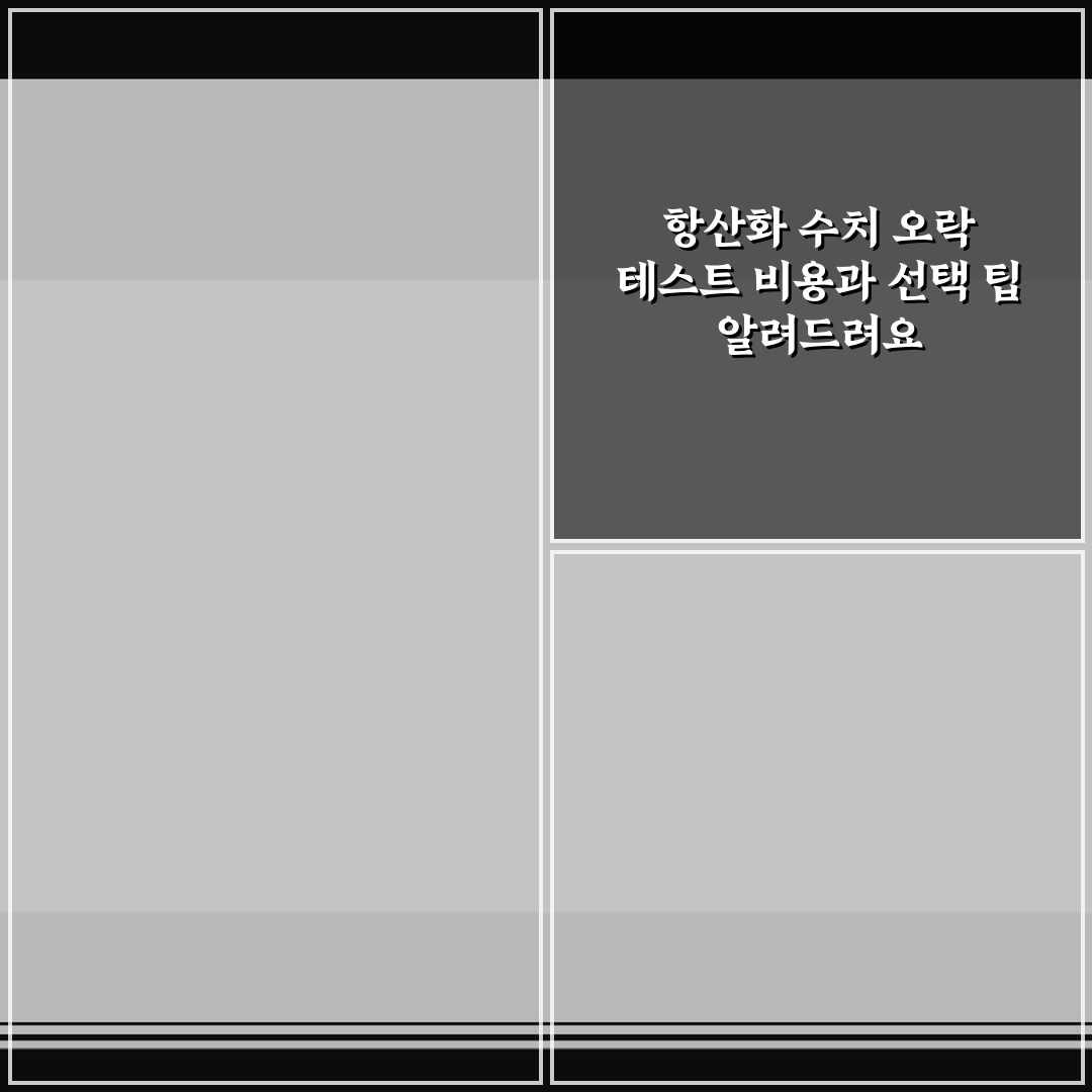 항산화 수치 오락 테스트 비용과 선택 팁 알려드려요