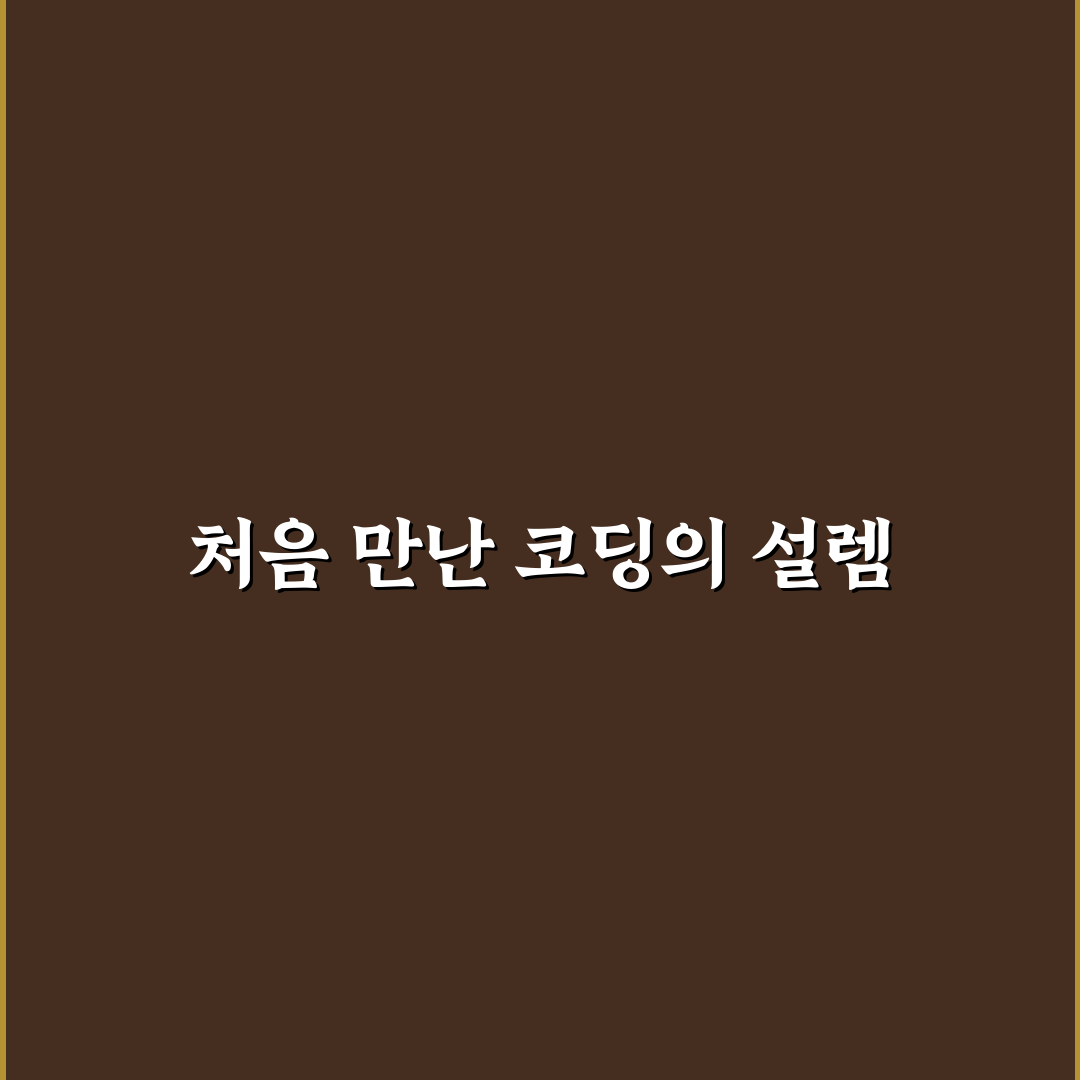 비전공자 개발자 취업 위한 코딩 테스트 언어 추천 솔직후기