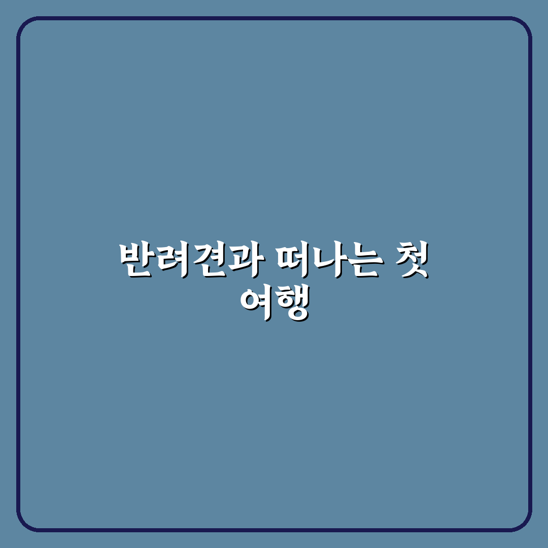 반려견 동반 호텔 리스트 직접 써본 후기와 추천 장소