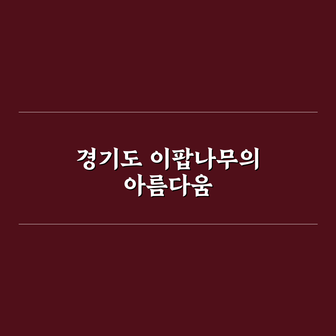이팝나무 명소 경기도 추천과 방문 꿀팁 알려드려요