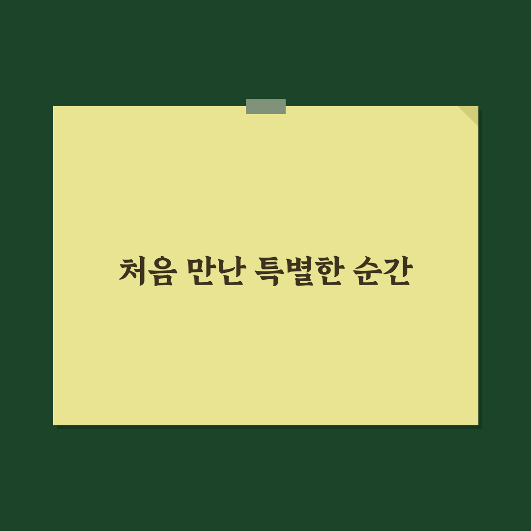 몽크로스 카르페디엠 사용 후기, 직접 써보니 느낀 점