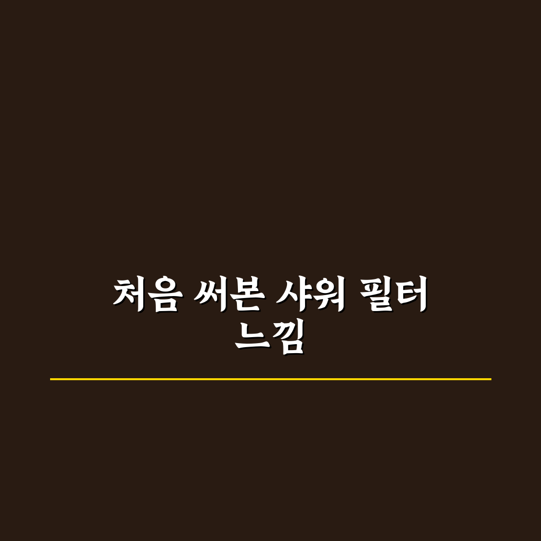 동남아 여행 샤워 필터 교체 주기 권장과 사용후기