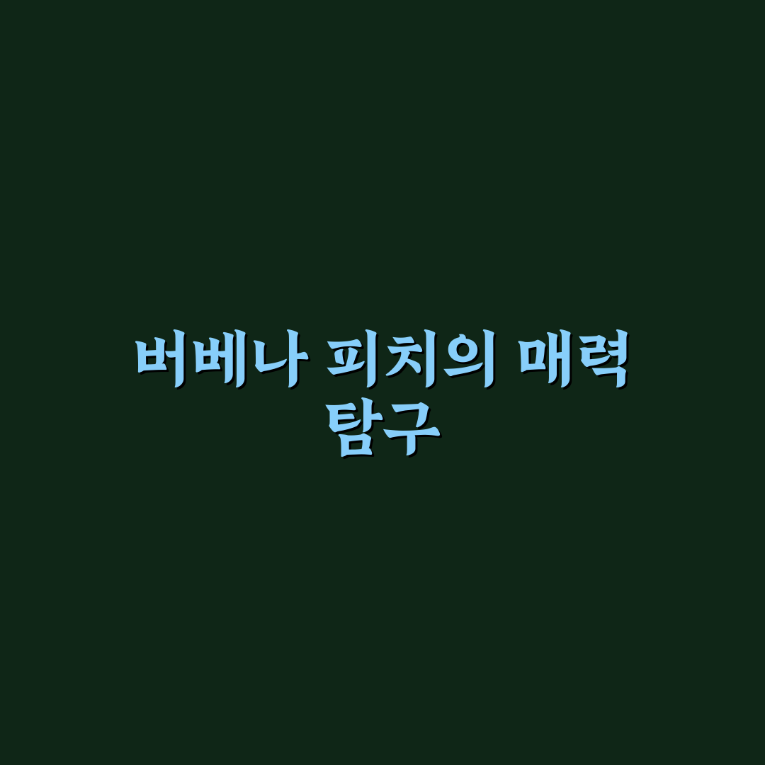 버베나 피치 비교와 5가지 체크포인트 분석 가이드