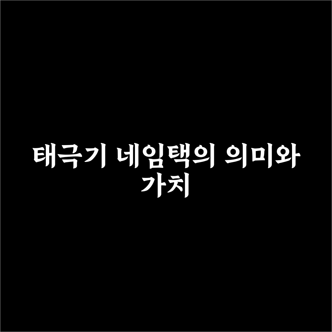 태극기 네임택 선택 가이드와 디자인 비교 분석